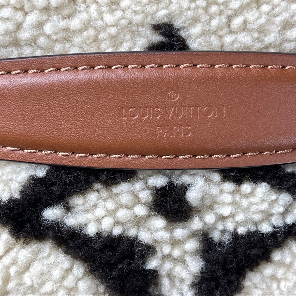 Louis Vuitton Teddy Mono Bumbag - Picture 7 of 13